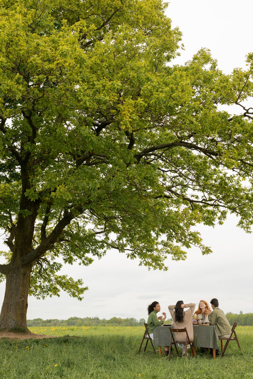 a group of friends having conversation under the green tree